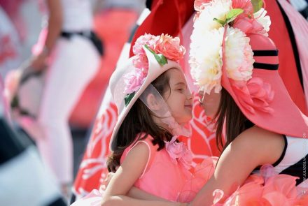 Madeira Flower Festival 2016/Pink Ladies