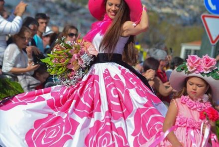 Madeira Flower Festival 2016/Pink Ladies
