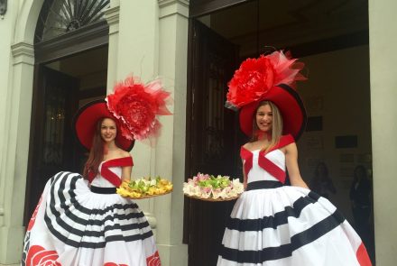 Madeira Flower Festival 2016/Concert at the Municipal Theater of Funchal