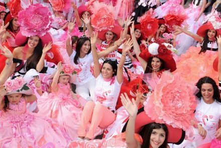Madeira Flower Festival 2016/Pink Ladies