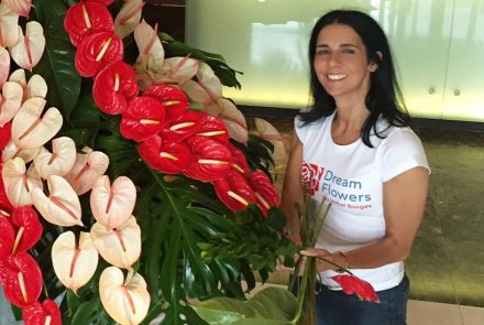 Madeira Food, Wine & Flower Show 2016/Pestana Chelsea Bridge Hotel and Spa