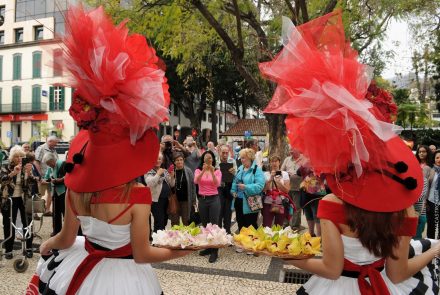 Madeira Flower Festival 2016/Concert at the Municipal Theater of Funchal