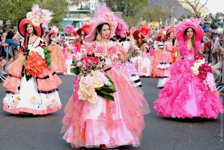 Madeira Flower Festival 2016/Pink Ladies