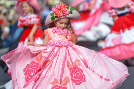 Madeira Flower Festival 2016/Dress Paintings
