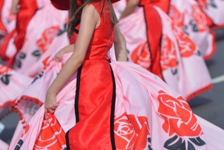 Madeira Flower Festival 2016/Project