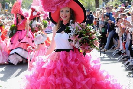 Madeira Flower Festival 2016/Project