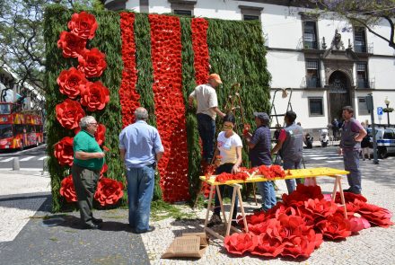 Flower Market in The City of Funchal 2017/Making of