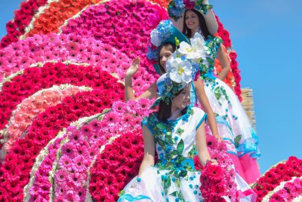 Madeira Flower Festival 2019/Jóia