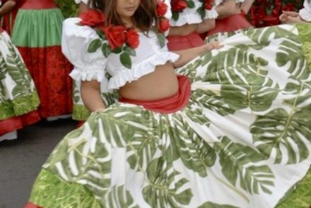 Madeira Flower Festival 2006/Project