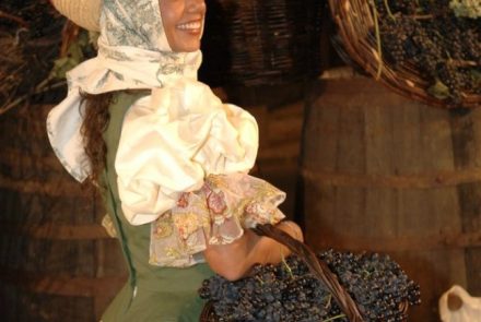 Madeira Wine Festival 2007/Project