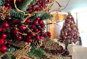 Hotel Christmas Tree 2018 (video)