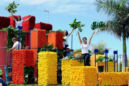 Madeira Flower Festival 2017/Float Flowers/Making of