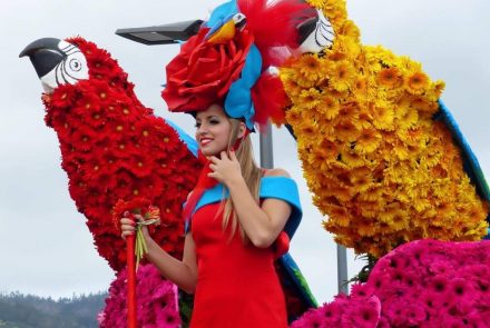 Madeira Flower Festival 2015/Float Flowers