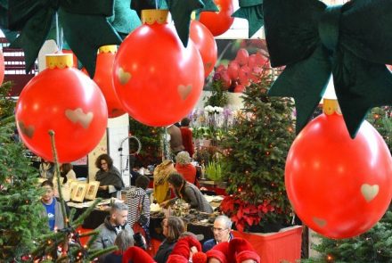 End Of The Year Festivities 2017/Mercado dos Lavradores/Making of