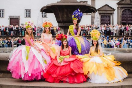 Flower Market in the City of Funchal/Project