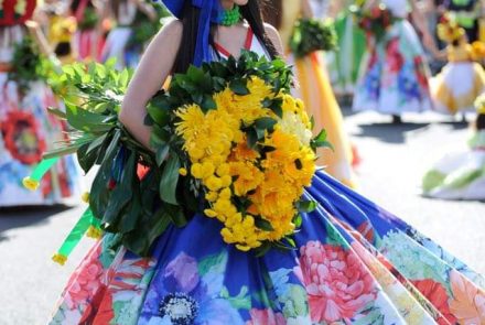 Madeira Flower Festival 2017/Project