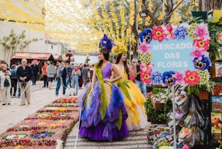 Flower Market in the City of Funchal/Project