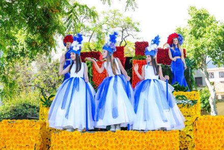 Madeira Flower Festival 2017/Project