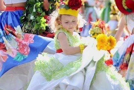 Madeira Flower Festival 2017/Project